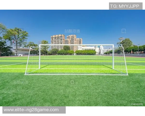 探索木生缘明珠足球场的魅力与激情，感受足球文化的深厚底蕴与社区活力